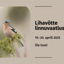 Pruunil taustal on vasakul pool foto oksa peal istuvast ja laulvast isasest metsvindist ning paremal tekstid.