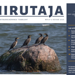 Teabelehe Tiirutaja nr 67 esikaas