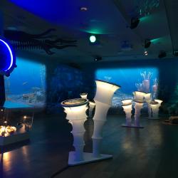 MY IMG_5654