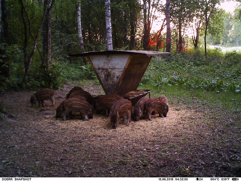 Foto: www.loodusfoto.eu