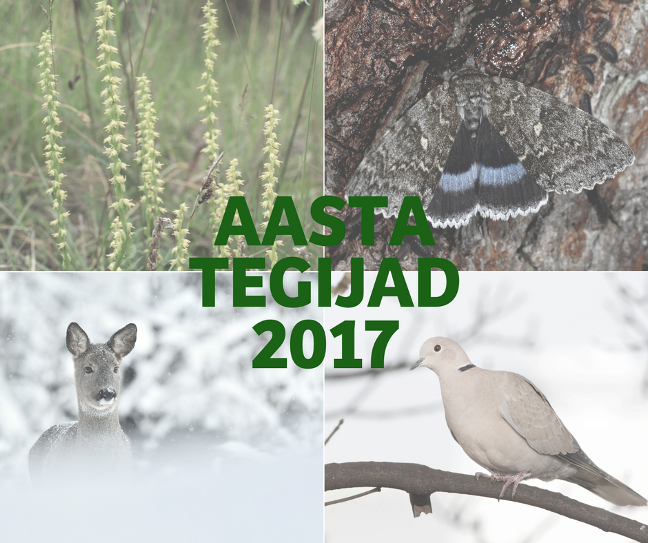 AASTA TEGIJAD 2017
