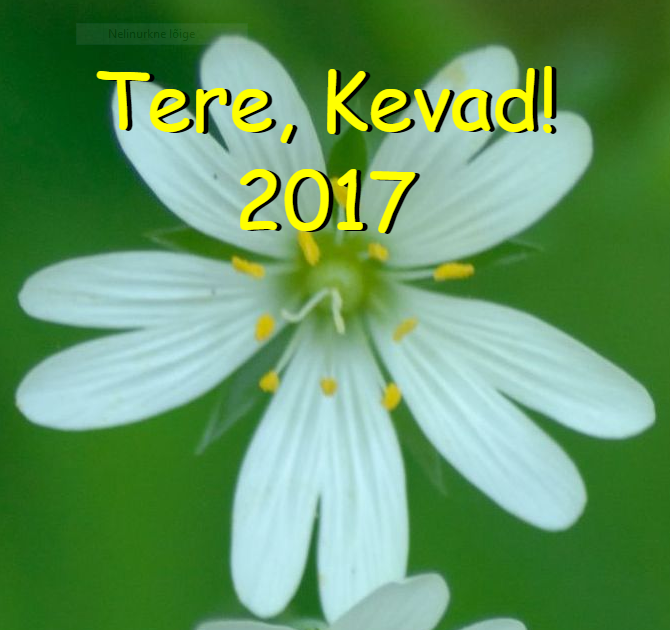 tere kevad
