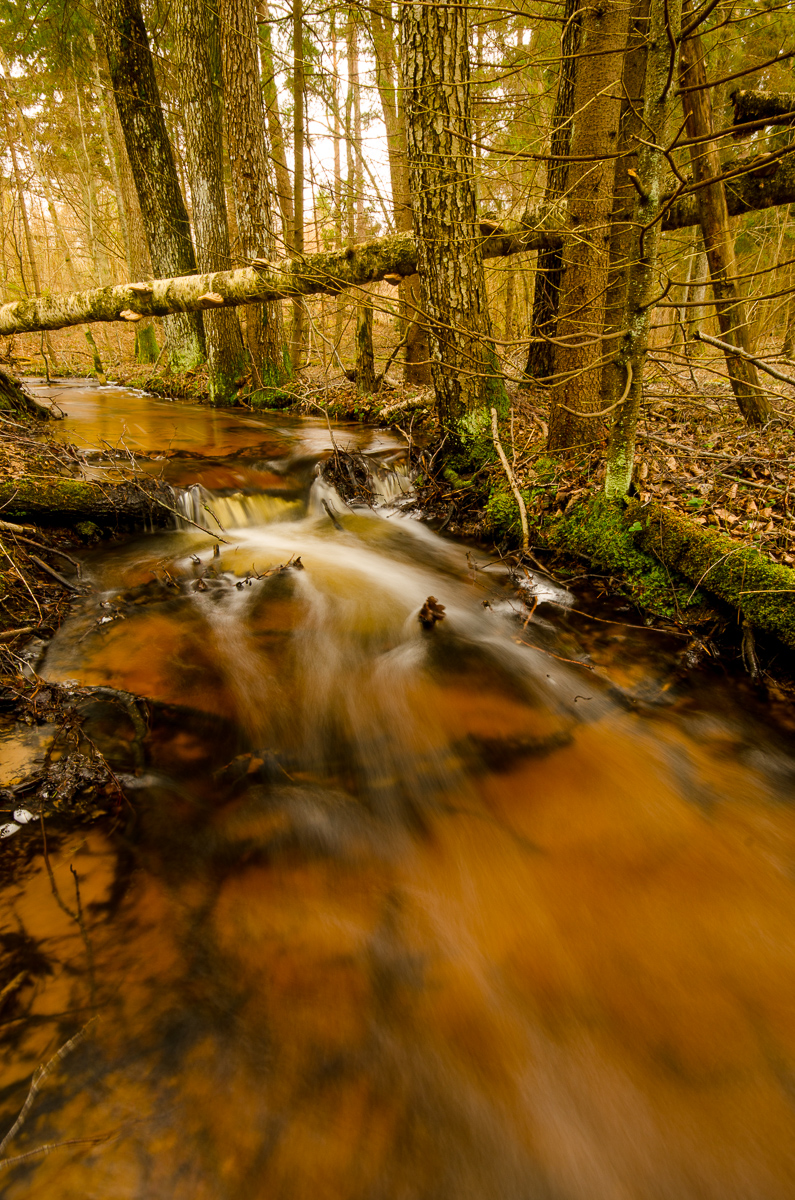 16502372914_5bded2f91f_o