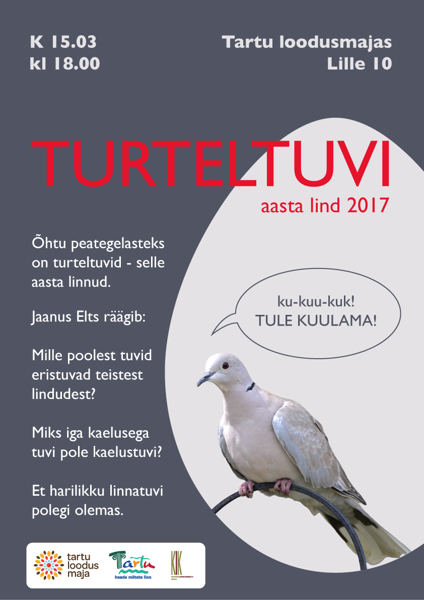 tuviohtu_15_03_veeb_flaiku