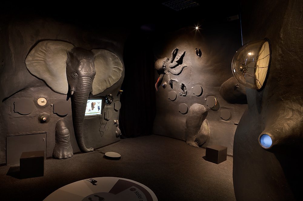 1123_896_s_g___ve65a