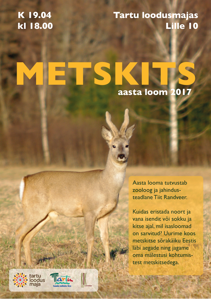 metskits_veeb_ja_flaiku_uus