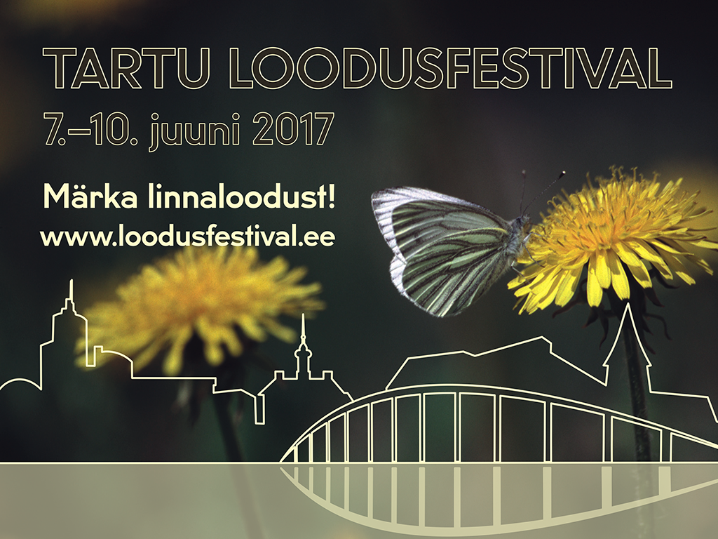 LF_KASSAEKRAANILE jpg