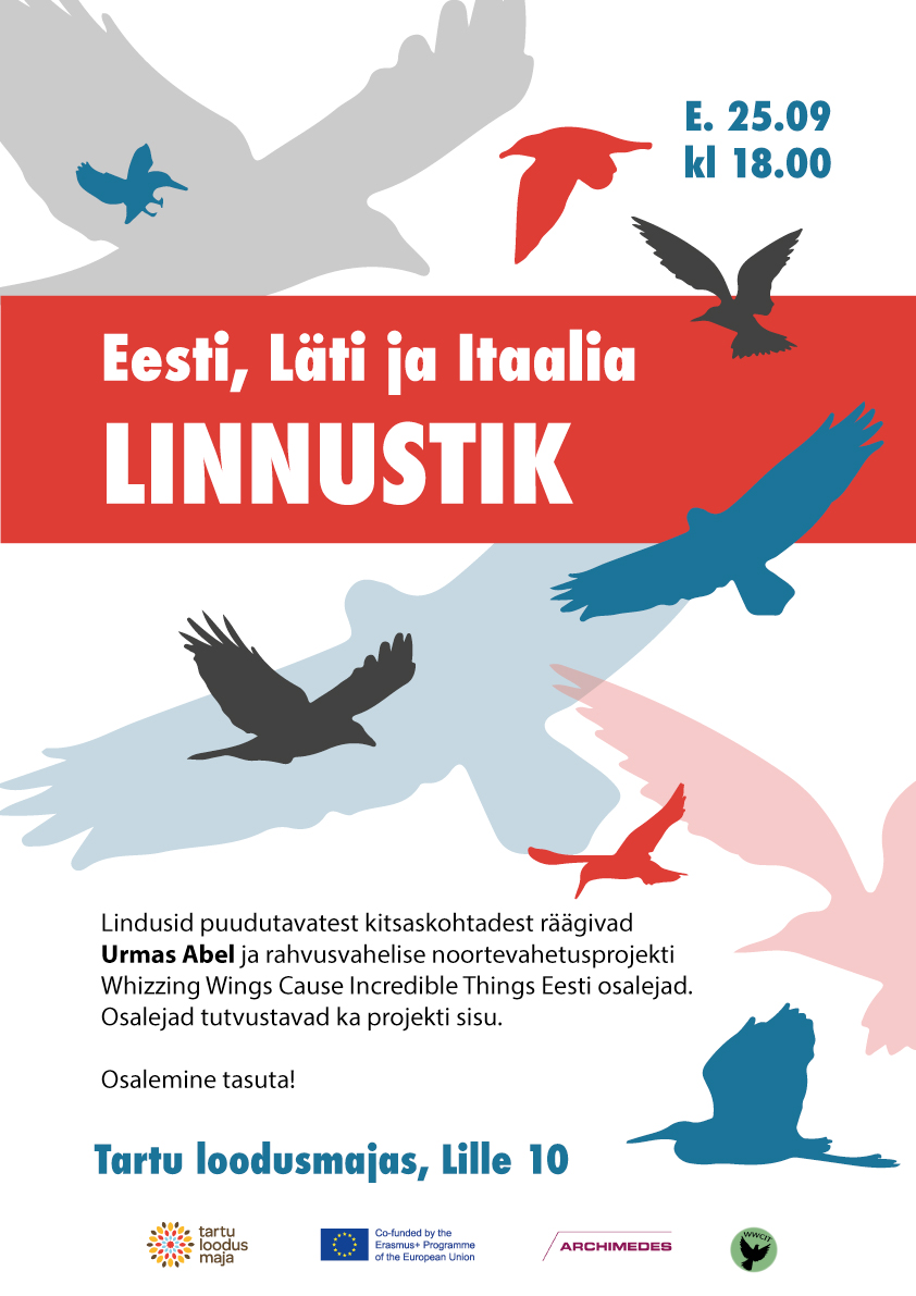 whizzing_wings_veebi