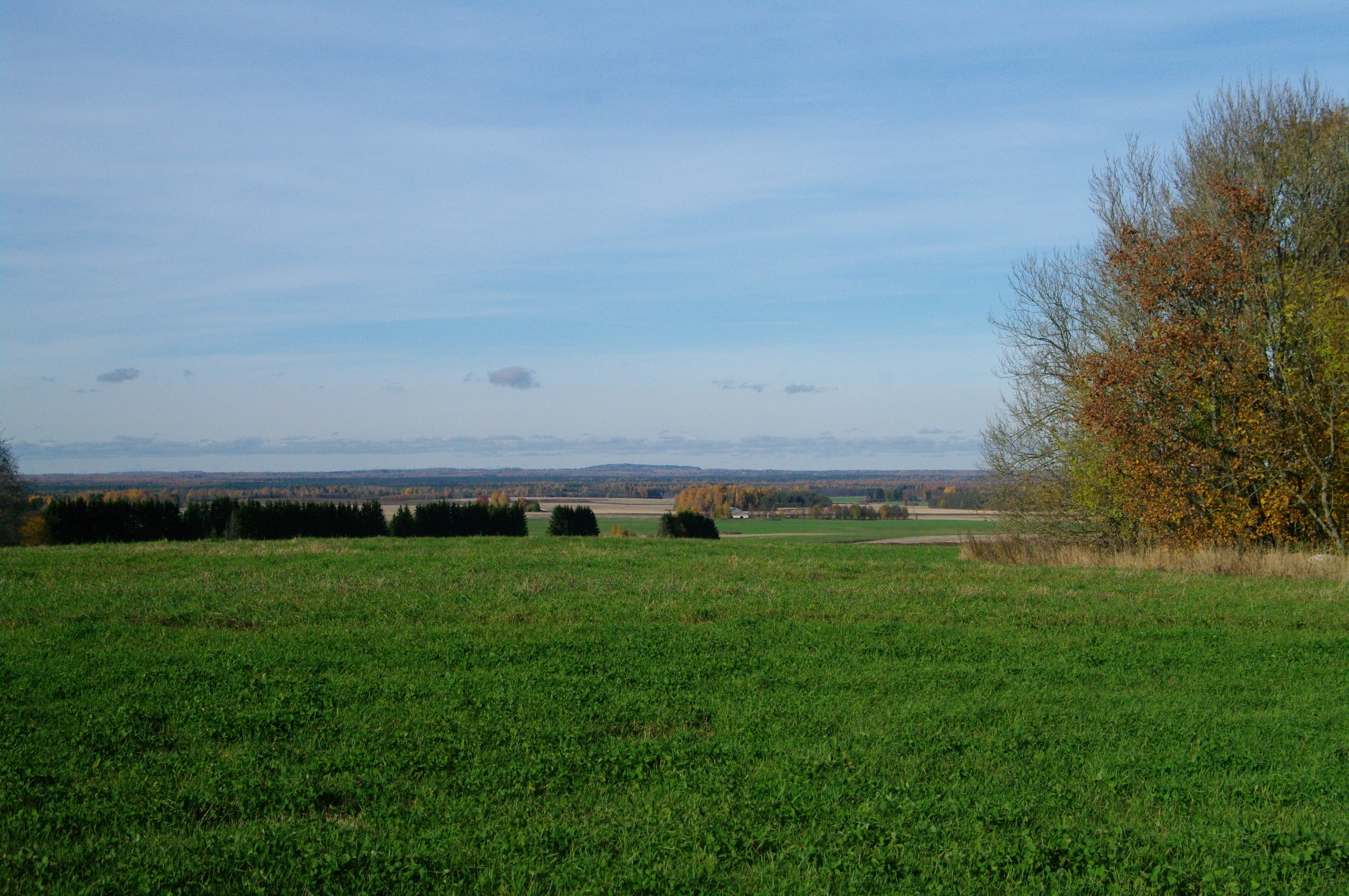 21.10.17 VaadeLaiuse vorelt. T. Pani