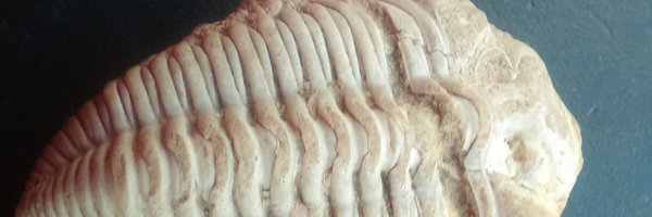 cfd0fe4b-e5a9-4d18-9b0f-329e3cab1277