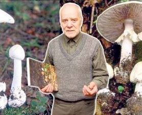 27072740_1772376776391272_567501982488077786_n