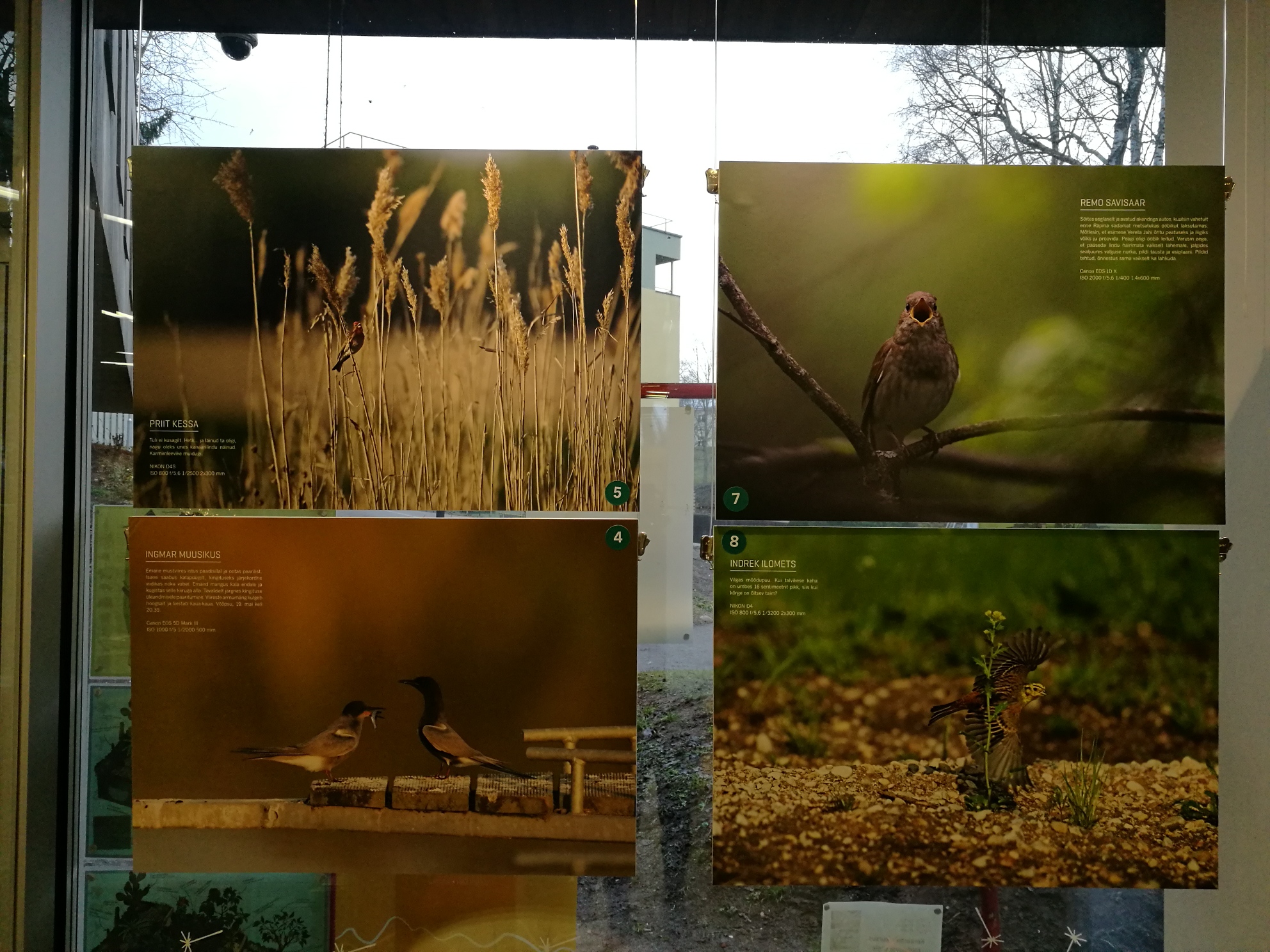 IMG_20180105_113149_resized_20180105_113944054