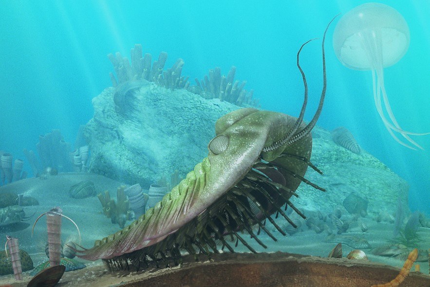 27072748_1795437440480661_2962773523913233197_n