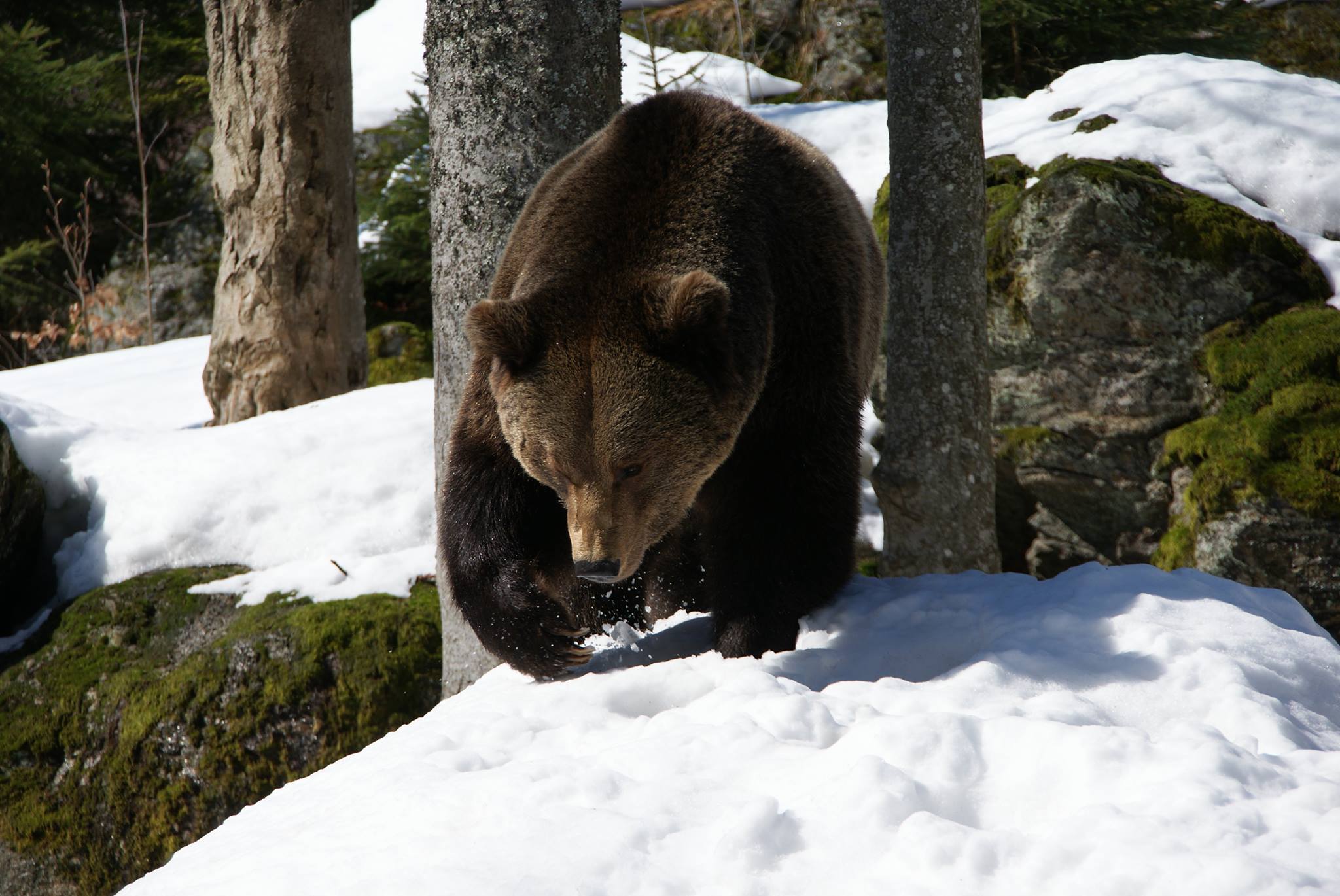 27500465_1795435030480902_270454014127675066_o