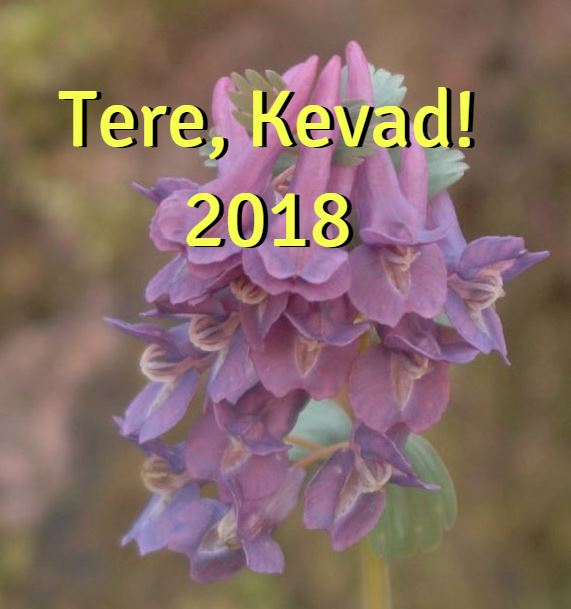 tere kevad