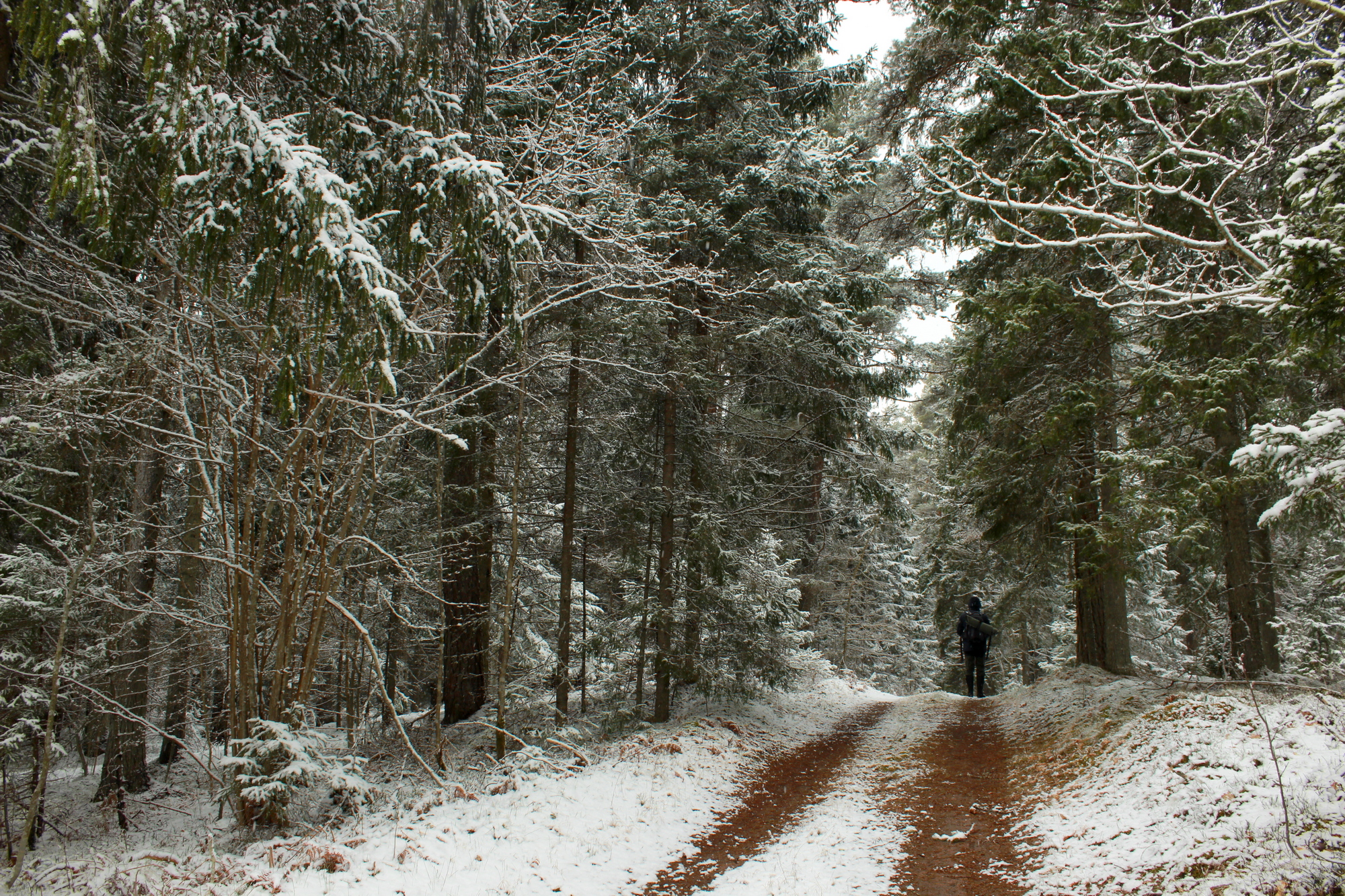 34052837141_8068d428e3_o