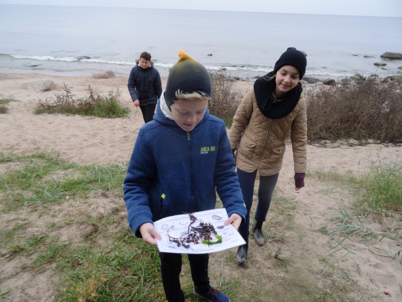 lillekula_gumnaasiumi_noored_laanemere_programmis._merebingo._lahemaa_looduskool_2017_003