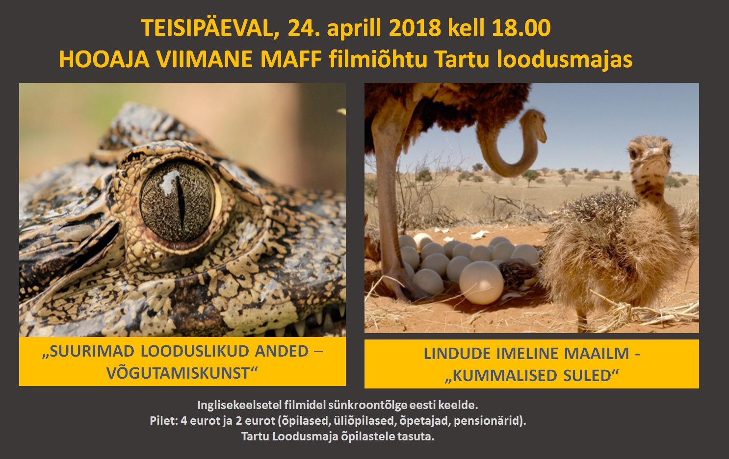 24.04_viimane MAFF filmid