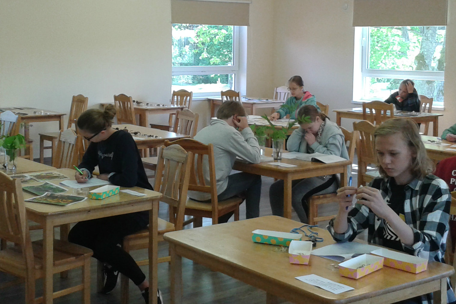 20180519_093557 crop