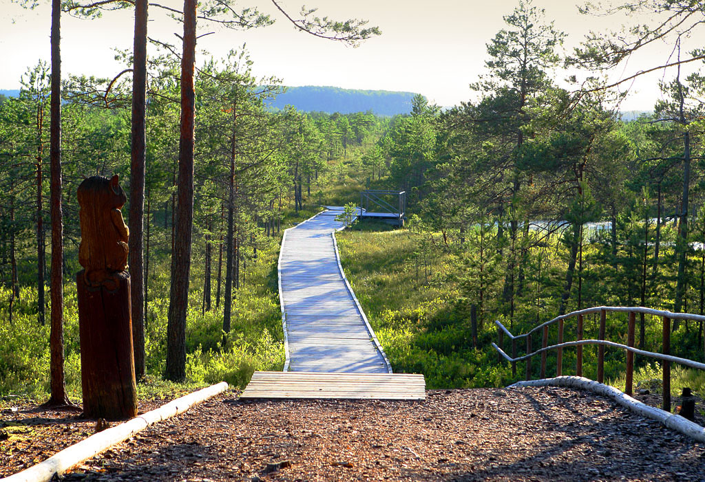 meenikunno_matkarada_2