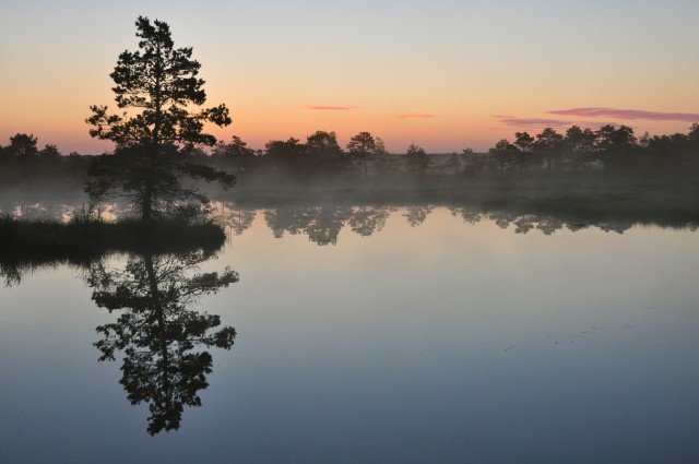 Kuresoo raba Soomaal. Foto Andres Hendrikson