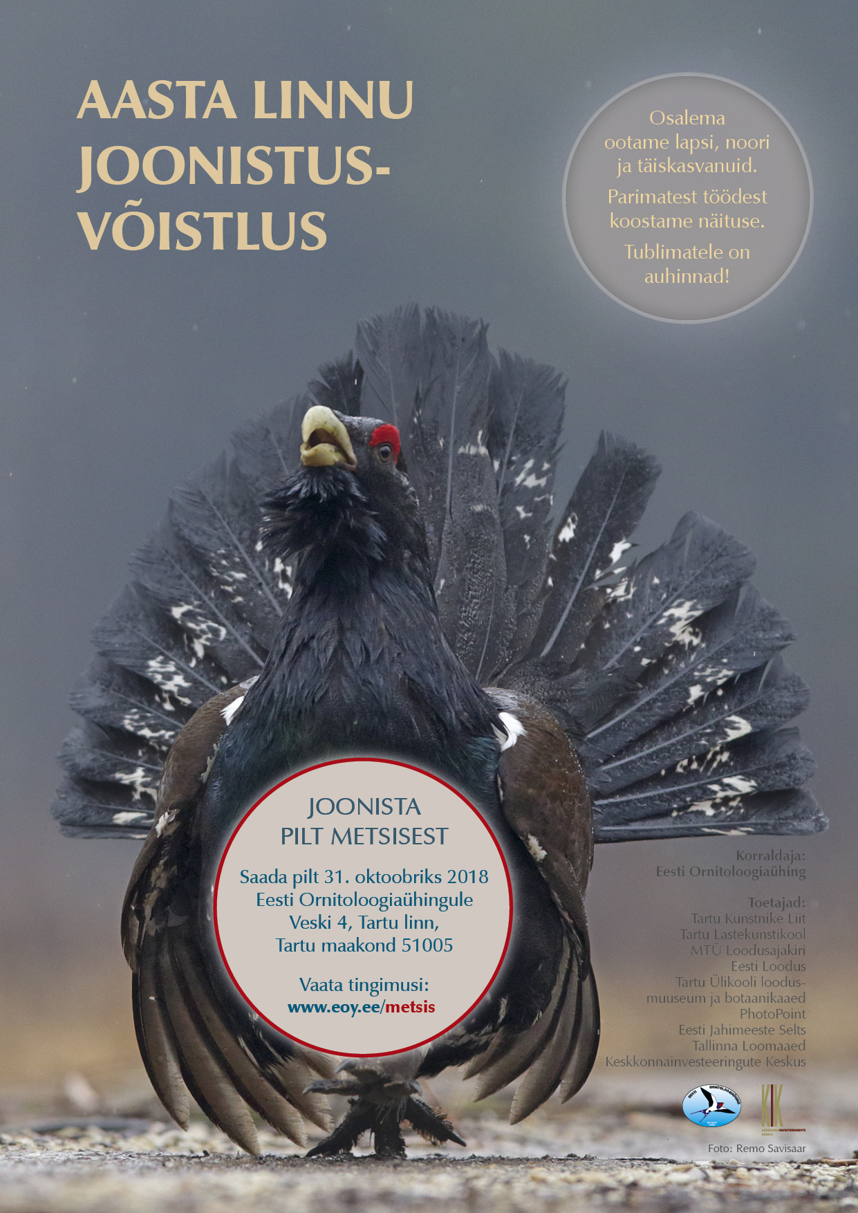 Aasta linnu metsise joonistusvõistlus