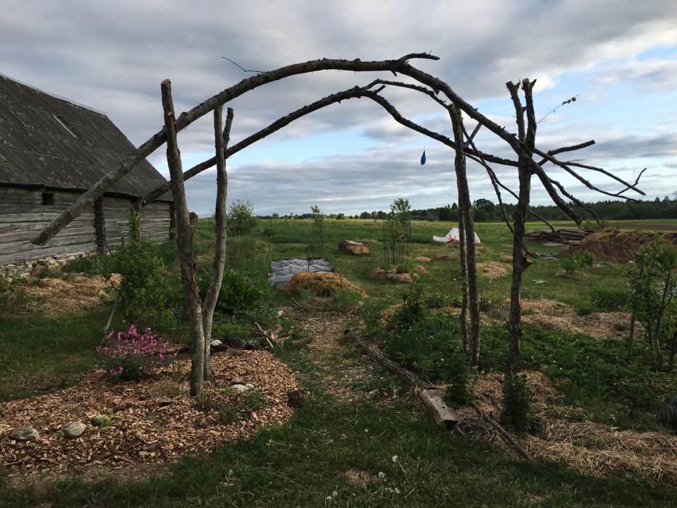 Mariani permakultuur Tartu loodusmaja