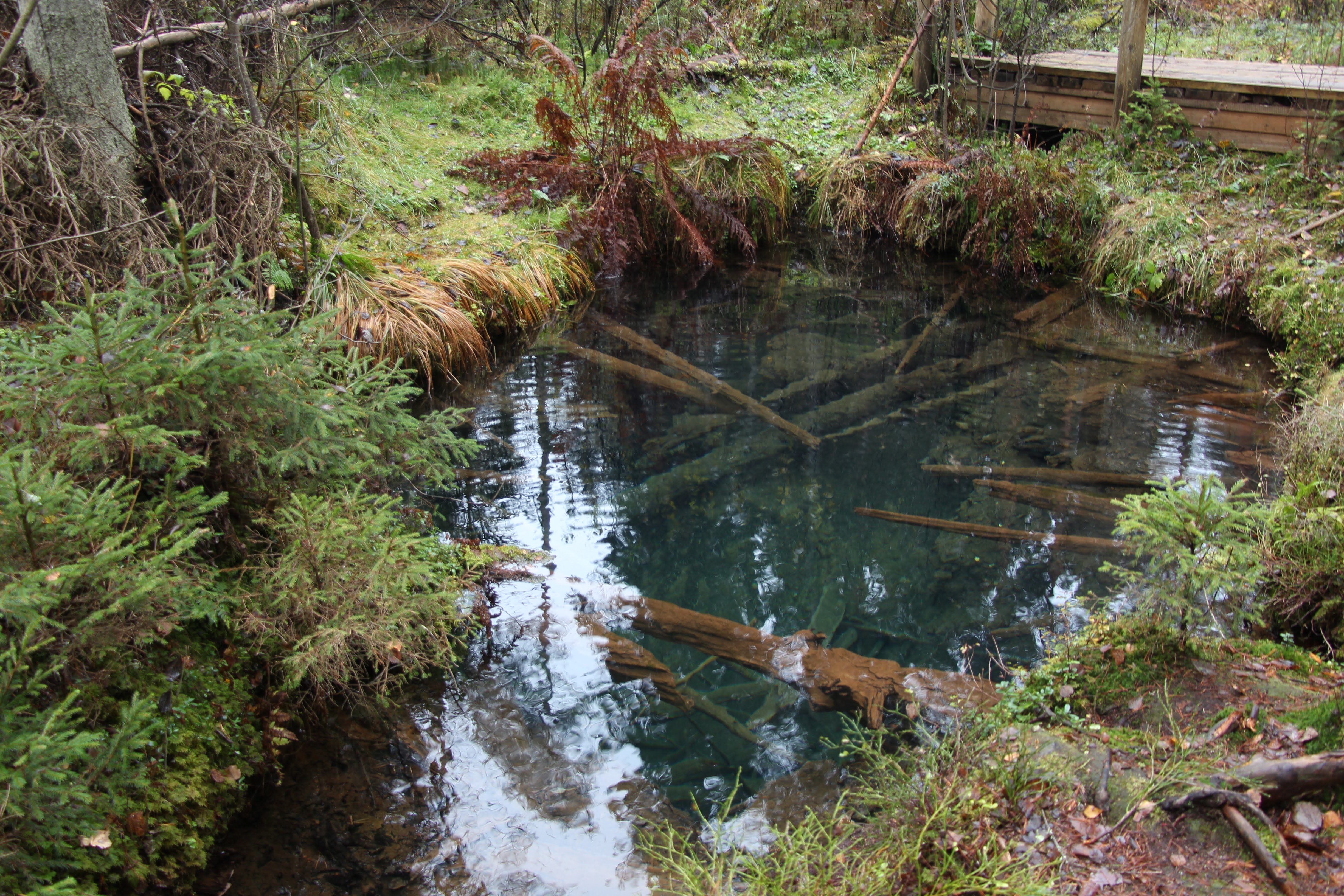 Sopa allikas_JohannaLehtmets