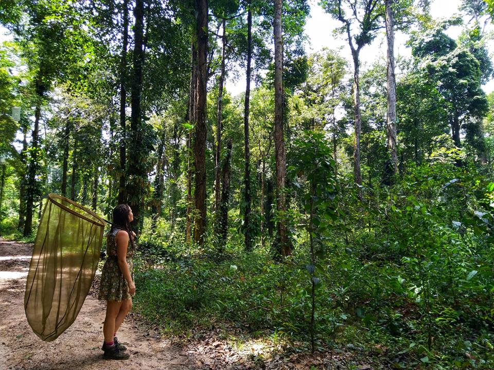 51880930_2165044803581821_7103988032000229376_n