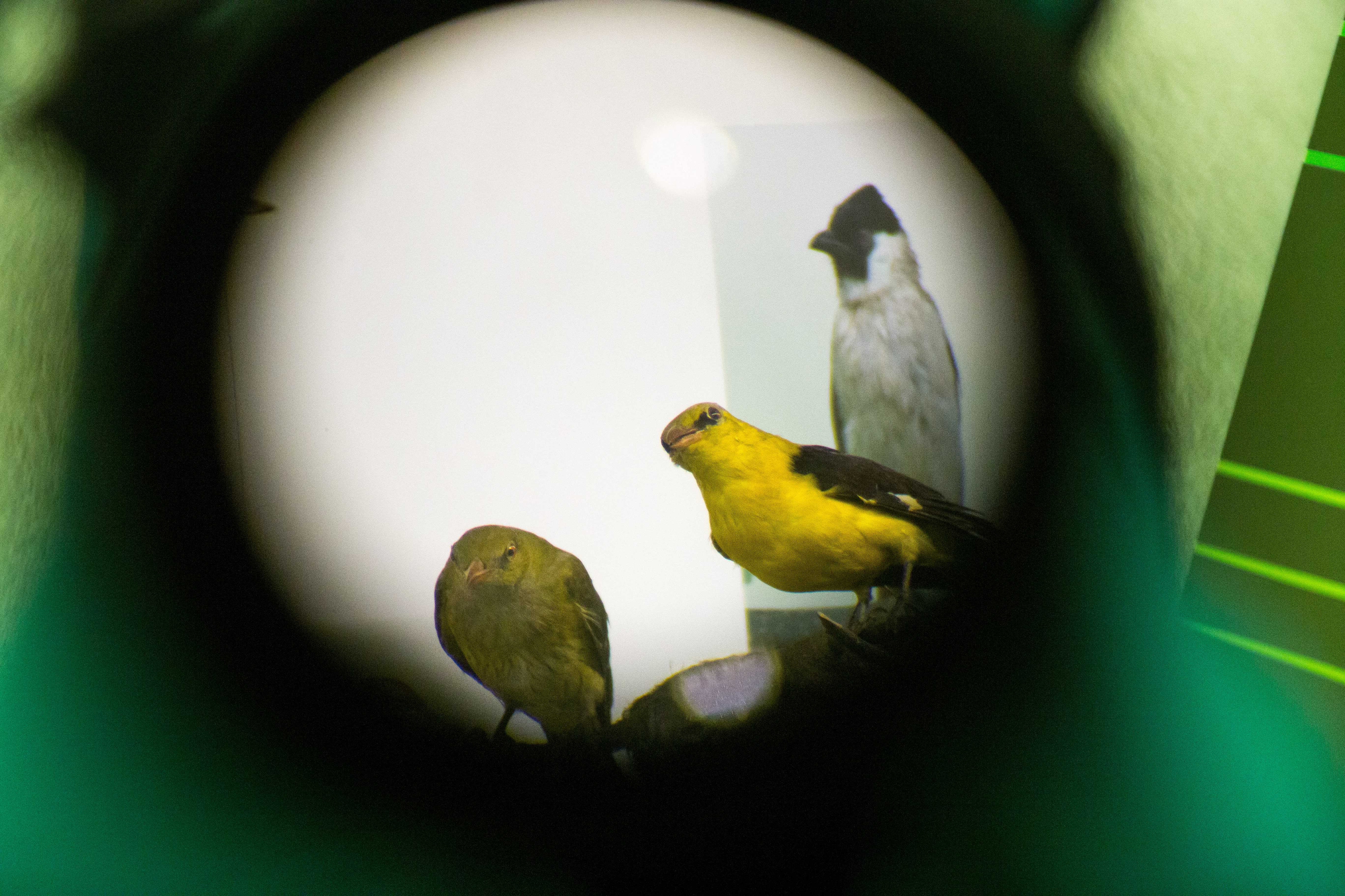 Looduseuurijad_Foto Elen Kontkar-min