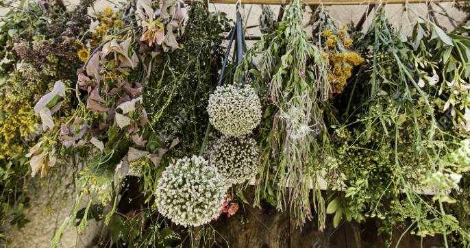 56994077_2260934150659552_7310731819006033920_n