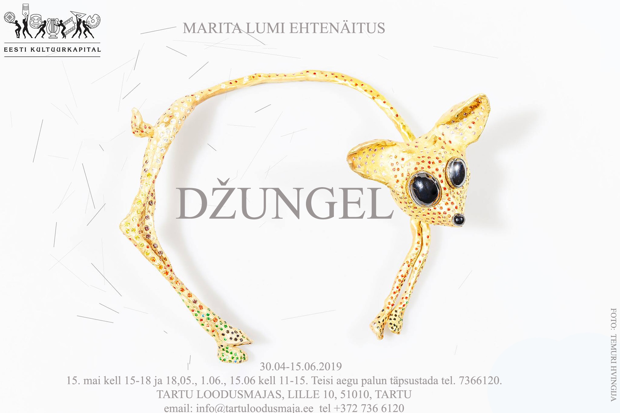 Dzungel plakat tartu