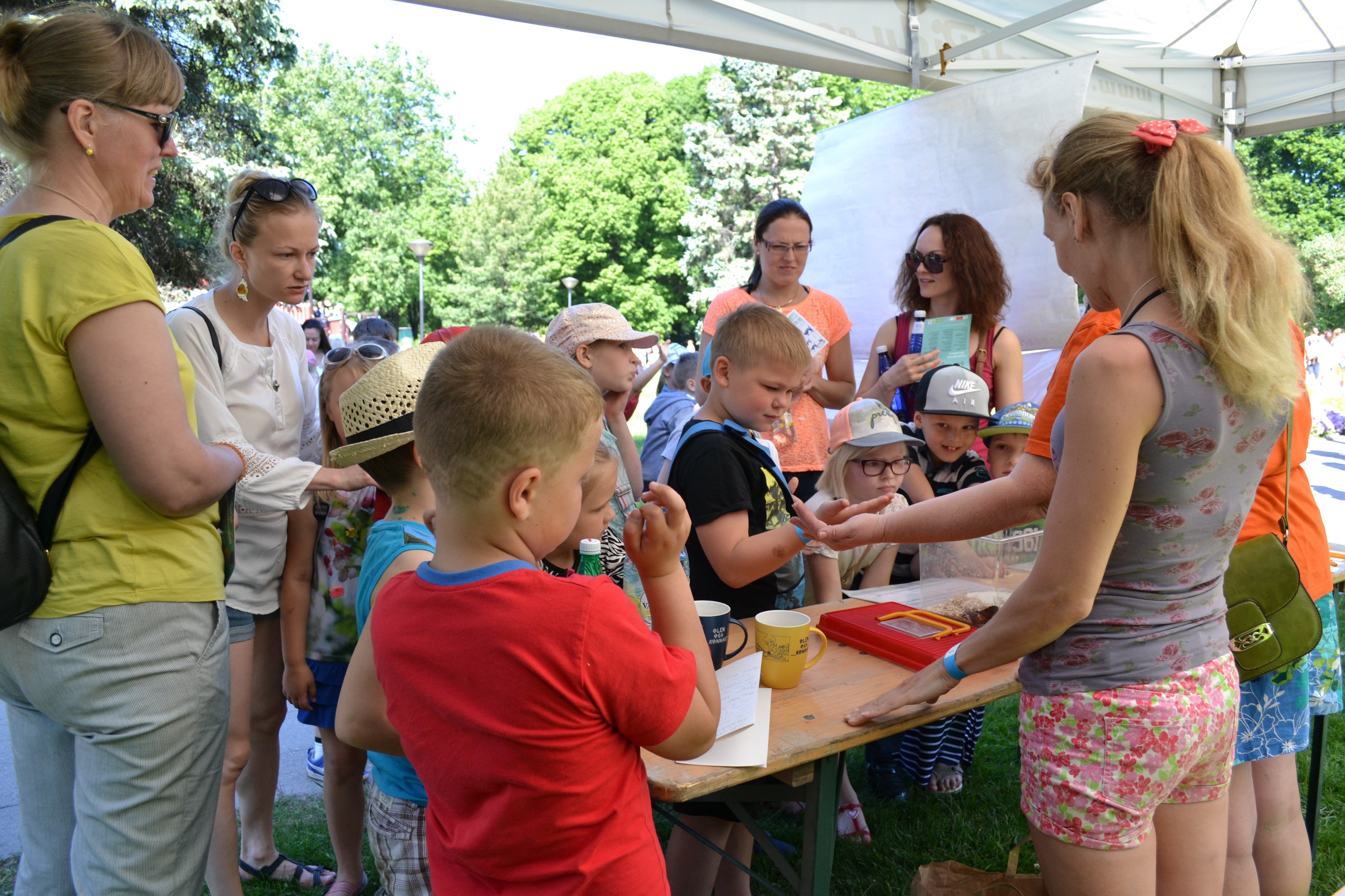 61055695_2324564197759468_2251560446567907328_n