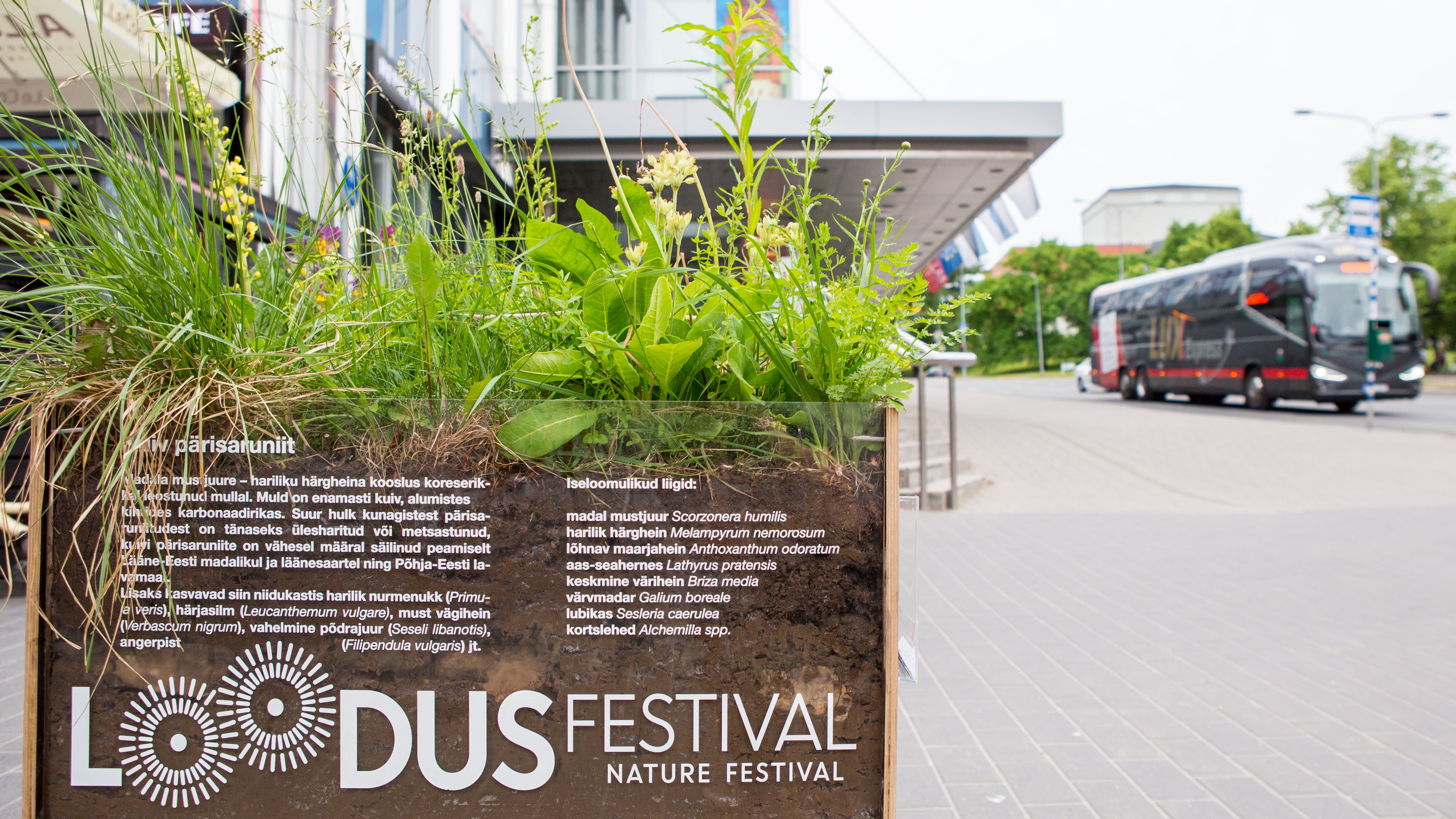 Kuiv aruniit_Kvartal_Foto Elen Kontkar-min