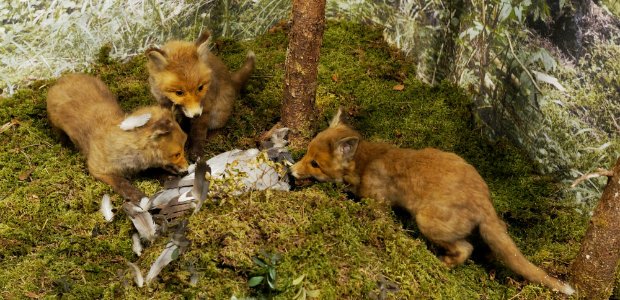 LM ekskursioon_ foto Aavo Kaine 1