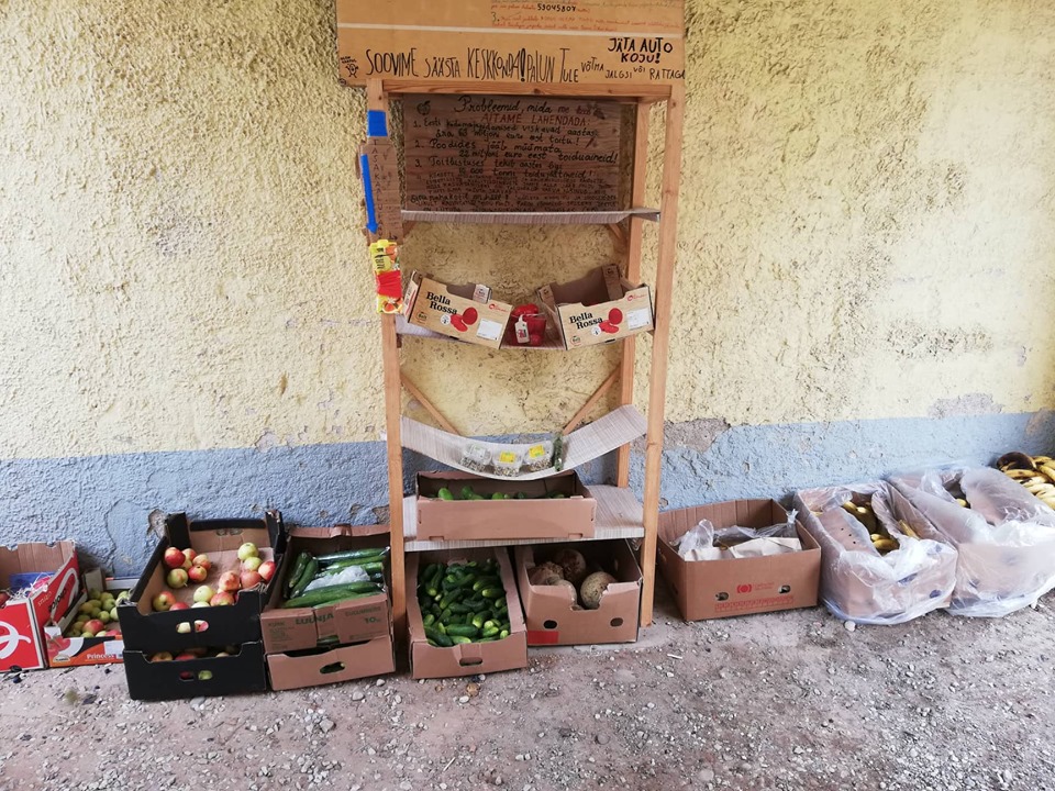 71043529_2545598682193096_3434239786703912960_n